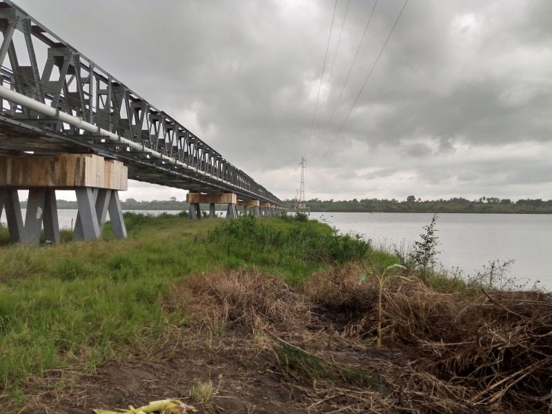 Article : Les crabes et ces petits chasseurs de taille