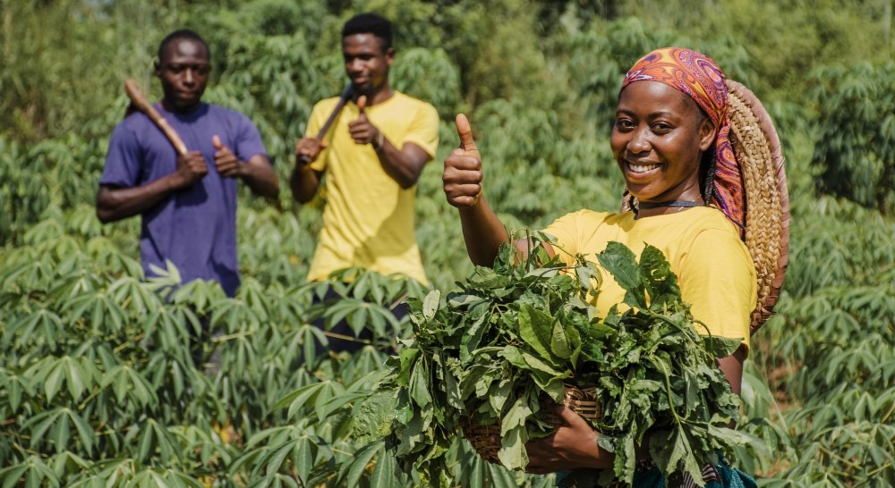 trois personnes dans un champs de manioc